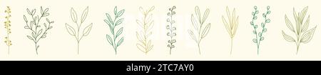 Eine Reihe von botanischen Wildkräutern und Blättern. Handgezeichnete Illustration isoliert auf weißem Hintergrund Stock Vektor