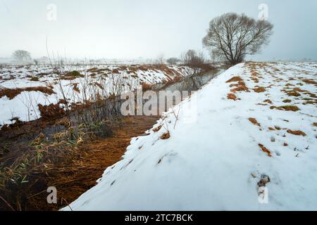 Wasserkanal zum großen Baum und Schnee auf der Wiese, Januar Tag Stockfoto