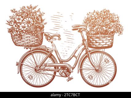 Handgezeichnetes Retro-Fahrrad mit Blumen im Korb. Blumenrad isoliert auf weißem Hintergrund. Vektorabbildung Stock Vektor