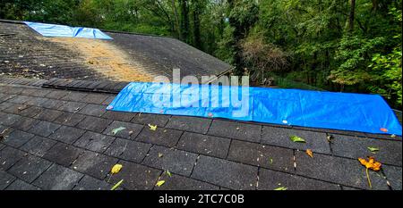 Verschiedene Dachfotos für Wohngebäude, einige mit neuen Dächern, einige mit reparaturbedürftigen Schäden. Stockfoto