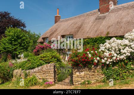 Idyllisches strohgedecktes Ferienhaus und farbenfroher Blumengarten im Dorf Powerstock, Dorset, England. Sommer (Juni) 2023. Stockfoto