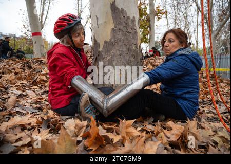 Klimaaktivisten, die mit Metallrohren an einen Baum gekettet sind, protestieren gegen das Fällen von Bäumen. Nachbarn und die Umweltorganisation Extinction Rebellion protestierten, nachdem heute im Arganzuela Park in Madrid Rio der Holzschlag begonnen wurde, aufgrund der Erweiterungsarbeiten an der U-Bahn-Linie 11. Der Protest fällt mit der Feier der COP28 (des Klimagipfels, der bis zum 12. Dezember in Dubai stattfindet) zusammen, bei der Aktivisten auch die Untätigkeit der Regierungen angeprangert haben, Maßnahmen gegen den Klimawandel zu ergreifen, das Verschwinden von Bäumen im städtischen Kontext als eine weitere Folge der Klimakrise zu sehen. Stockfoto