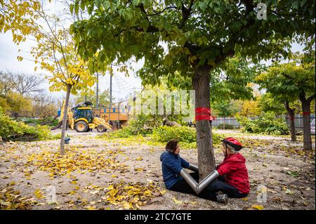 Klimaaktivisten, die mit Metallrohren an einen Baum gekettet sind, protestieren gegen das Fällen von Bäumen. Nachbarn und die Umweltorganisation Extinction Rebellion protestierten, nachdem heute im Arganzuela Park in Madrid Rio der Holzschlag begonnen wurde, aufgrund der Erweiterungsarbeiten an der U-Bahn-Linie 11. Der Protest fällt mit der Feier der COP28 (des Klimagipfels, der bis zum 12. Dezember in Dubai stattfindet) zusammen, bei der Aktivisten auch die Untätigkeit der Regierungen angeprangert haben, Maßnahmen gegen den Klimawandel zu ergreifen, das Verschwinden von Bäumen im städtischen Kontext als eine weitere Folge der Klimakrise zu sehen. Stockfoto