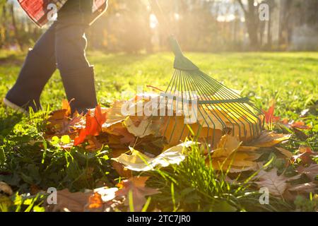 Frau, die Herbstlaub im Park harkt, Nahaufnahme Stockfoto