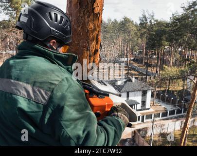 Der Baumstamm schneidet mit der Kettensäge in großer Höhe den Stamm eines Notbaums. Stockfoto