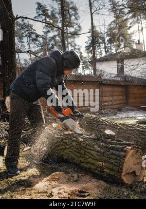 Holzschneider sägt Baum mit Kettensäge. Sägemehl fliegt von der Motorsäge. Der Holzbauchmeister in einem Helm sägt einen Baum für Brennholz. Stockfoto