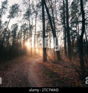 Wunderschöne Morgenlandschaft mit Sonnenstrahlen, die durch den nebeligen Wald strahlen und einen gewundenen Pfad beleuchten. Die ätherische Schönheit der Natur schafft ein mesm Stockfoto