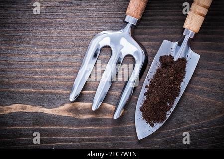 Edelstahl Handspaten mit Boden und Kelle Gabel auf Vintage Holzbrett Gartenkonzept Stockfoto