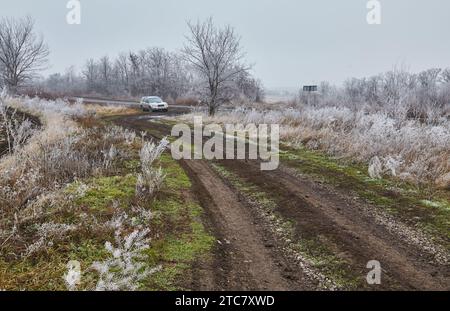 Eine mystische Szene des frühen Winters, die seine Magie durch den Nebel enthüllt, während die Elemente der Natur sich in einem ätherischen Tanz verflechten. Stockfoto