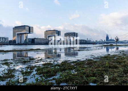 Blick von den überfluteten Rheinwiesen in Deutz auf den Rheinauer Hafen, Kranhäuser, den Dom, Köln, Deutschland. Blick von den ueberfluteten Rheinwi Stockfoto