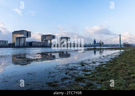 Blick von den überfluteten Rheinwiesen in Deutz auf den Rheinauer Hafen, Kranhäuser, den Dom, die Severiner Brücke, Köln, Deutschland. Blick von den uebe Stockfoto