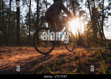 Mädchen auf einem Fahrrad fährt den Weg entlang im Herbstwald bei Sonnenuntergang. Flachwinkelansicht. Aktives Freizeitkonzept. Stockfoto