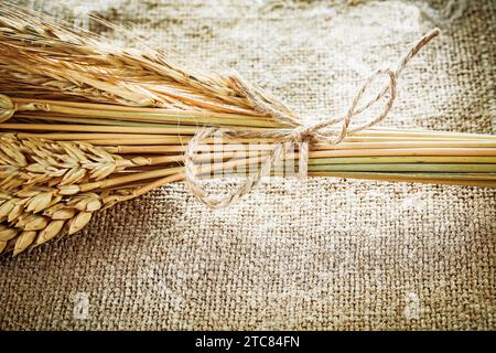 Goldene Roggenohren auf Sackleinen Hintergrund Stockfoto