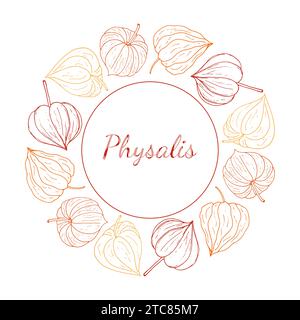 Kreisförmiger Dekorrahmen von Physalis. Bio gesunde Lebensmittel Kranz mit Platz für Text. Vektorillustration für Tapeten, Geschenkpapier, Verpackungsdesign Stock Vektor