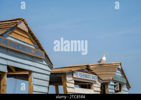 WHITBY, NORTH YORKSHIRE, Vereinigtes Königreich, 19. JULI 2022: Seagull auf einer nachgebildeten Fischerhütte in Whitby, North Yorkshire Stockfoto