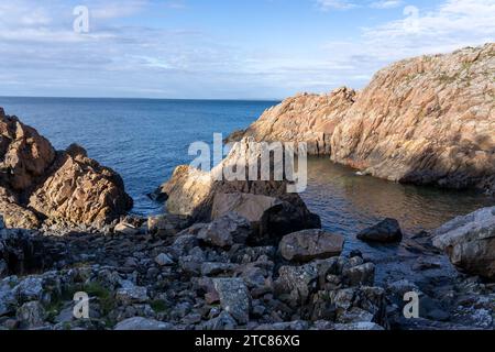 Eine malerische Küstenlandschaft mit felsigem Gelände und üppiger grasbewachsener Vegetation entlang der Küste eines ruhigen Gewässers in Varberg, Schweden Stockfoto