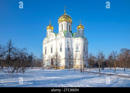 St. Katharinenkathedrale. Tsarskoje Selo (Sankt Petersburg), Russland Stockfoto