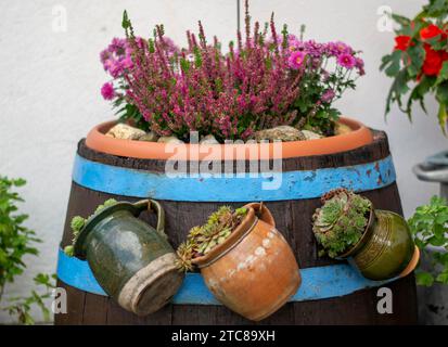 Altes Holzfass, das als Blumentopf benutzt wird. Blühende Blumen. Vintage. Details Stockfoto