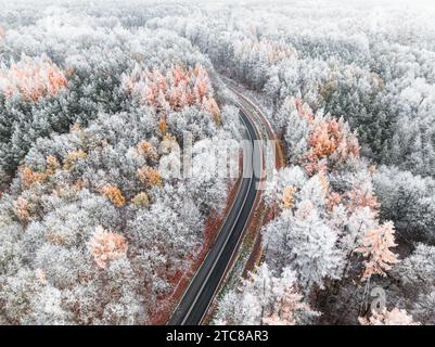 Auto fährt auf Asphaltstraße durch gefrorenen Wald mit Reim im Winter, Polen. Wildtiere im Winter Polen, Europa. Stockfoto