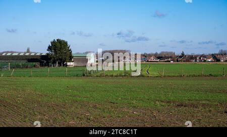 Grünes Ackerland, Grundnahrungsmittel und Häuser auf dem Land um Meise, Flämische Region Brabant, Belgien Credit: Imago/Alamy Live News Stockfoto