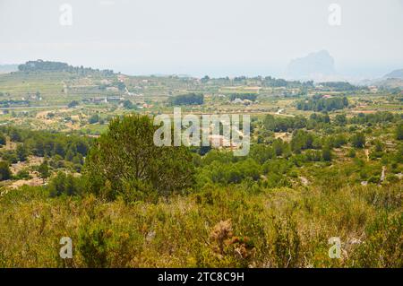 Landschaftsansicht der mediterranen Landschaft mit Macchistrauch und Peñón de Ifach Kalksteinfelsen in der Ferne (Marina Alta, Alicante, Spanien) Stockfoto