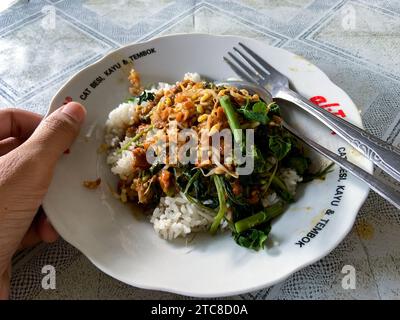 „Nasi Pecel“ ist ein traditionelles javanisches Reisgericht, bestehend aus gedämpftem Reis mit Gemüsesalat und Erdnusssauce Stockfoto