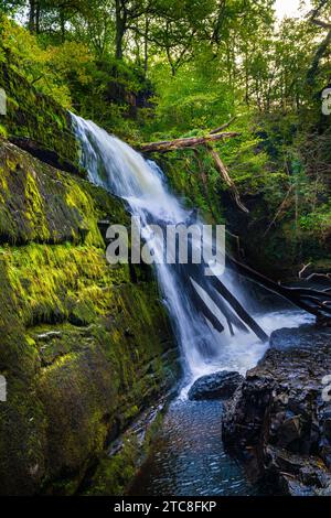Die vier Wasserfälle gehen - Brecon Beacons, sgwd uchaf clun-Gwyn Stockfoto