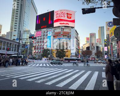 Ein Blick auf eine überfüllte Kreuzung in Tokio, Japan an einem sonnigen Tag Stockfoto