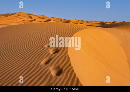 Fußstapfen der Menschen in der Sanddüne von Erg Chebbi in der Sahara bei Merzouga, Drâa-Tafilalet, Errachidia, Marokko Stockfoto