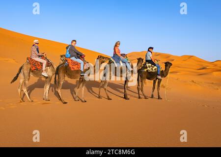 Westliche Touristen reiten auf Dromedarkamelen in den Sanddünen von Erg Chebbi, Sahara-Wüste bei Merzouga, Drâa-Tafilalet, Errachidia, Marokko Stockfoto