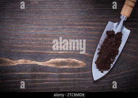 Edelstahl Handspaten mit Boden auf Vintage Holz Hintergrund Kopierraum Bild Garten Konzept Stockfoto