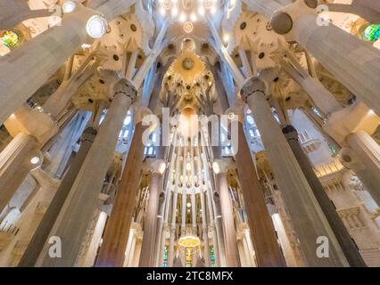 Licht durchströmt die Buntglasfenster der Basilika de la Sagrada Familia, entworfen von Antoni Gaudí und Stockfoto