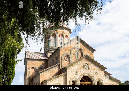 Bodbe, Georgien - 24. September 2023: Grüner Baum und neue St. Nino Kirche im Bodbe Kloster in der Region Kakheti in Georgien am sonnigen Herbsttag Stockfoto