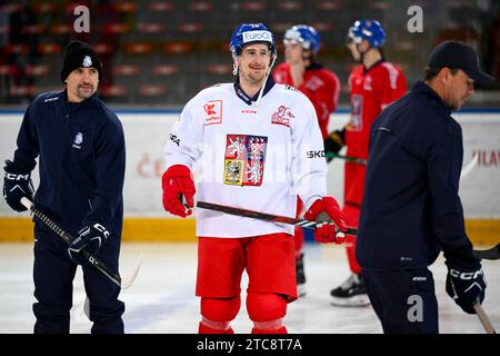 Prag, Tschechische Republik. Dezember 2023. L-R Assistenztrainer Tomas Plekanec und Stürmer Roman Cervenka nehmen am 11. Dezember 2023 an der Trainingsveranstaltung der tschechischen Eishockeynationalmannschaft Teil, die vor den Schweizer Eishockeyspielen im Rahmen der Euro Hockey Tour in Prag, Tschechien, stattfand. Quelle: Ondrej Deml/CTK Photo/Alamy Live News Stockfoto