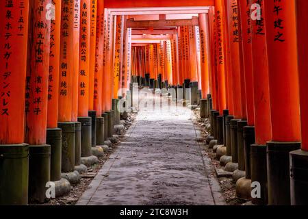 Berühmter Torii-Tunnel im fushimi inari-Tempel Stockfoto