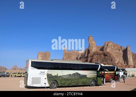 Tourbusse in Alula in Saudi-Arabien Stockfoto