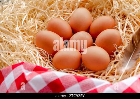 Braune Hühnereier liegen im Nest. Frische Hühnereier Stockfoto