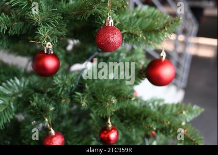 Köln, Deutschland. Dezember 2023. Weihnachtskugel, Weihnachtsbaumkugel hängt an einem Tannenzweig, Weihnachtsbaum Credit: Horst Galuschka/dpa/Alamy Live News Stockfoto