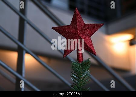 Köln, Deutschland. Dezember 2023. Roter Weihnachtsstern als Spitze eines Tannenbaums, Weihnachtsbaum Credit: Horst Galuschka/dpa/Alamy Live News Stockfoto