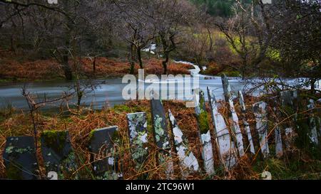 Afon Dulas (Fluss Dulas) in Sate, Corris Gwynedd Stockfoto