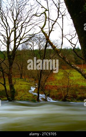 Afon Dulas (Fluss Dulas) in Sate, Corris Gwynedd Stockfoto