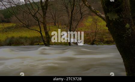 Afon Dulas (Fluss Dulas) in Sate, Corris Gwynedd Stockfoto