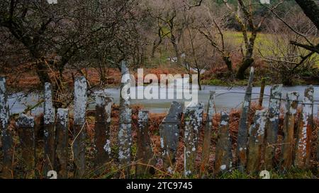 Afon Dulas (Fluss Dulas) in Sate, Corris Gwynedd Stockfoto