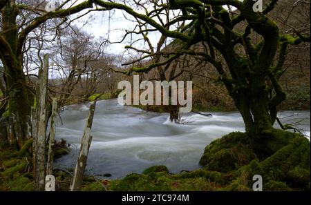 Afon Dulas (Fluss Dulas) in Sate, Corris Gwynedd Stockfoto