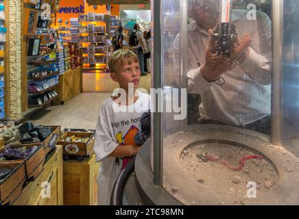 Ein Mitarbeiter eines Spielwarengeschäfts zeigt einem Kind, wie man den Geodenknacker im FAO Schwarz Store in Manhattan benutzt. Stockfoto