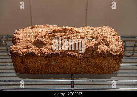 Frisch gebackenes hausgemachtes Brot aus Bio-Weizen Stockfoto