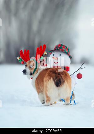 Niedlicher Weihnachtscorgi in Rentiergeweih mit Schneemann im Schnee-Winterpark Stockfoto