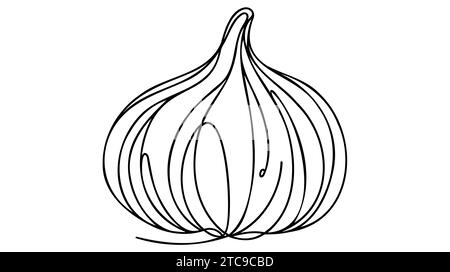 Knoblauch im Linienstil. Minimalistische schwarze lineare Skizze der Knoblauchzwiebeln isoliert auf weißem Hintergrund. Vektorabbildung. Stock Vektor