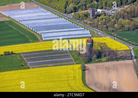 Luftaufnahme, landwirtschaftliche Fläche, Erdbeeranbau unter Folie, Wasserturm Lanstroper EI, Turm des ehemaligen Luftschachts Rote fuhr, Hostedde, Dortmund, Stockfoto