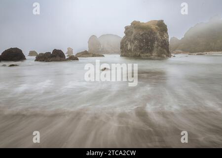 Im Nebel des Harris Beach State Park in Brookings, Oregon, USA, stapeln sich die Meere, die mit einer langen Exposition aufgenommen wurden, um die Wellen zu mildern. Stockfoto